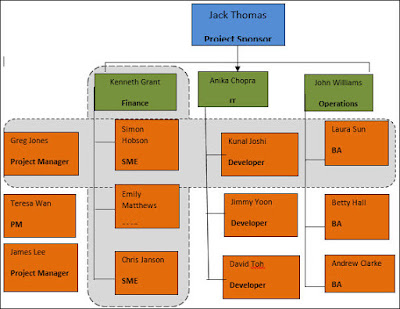 team structure project matrix necessary why