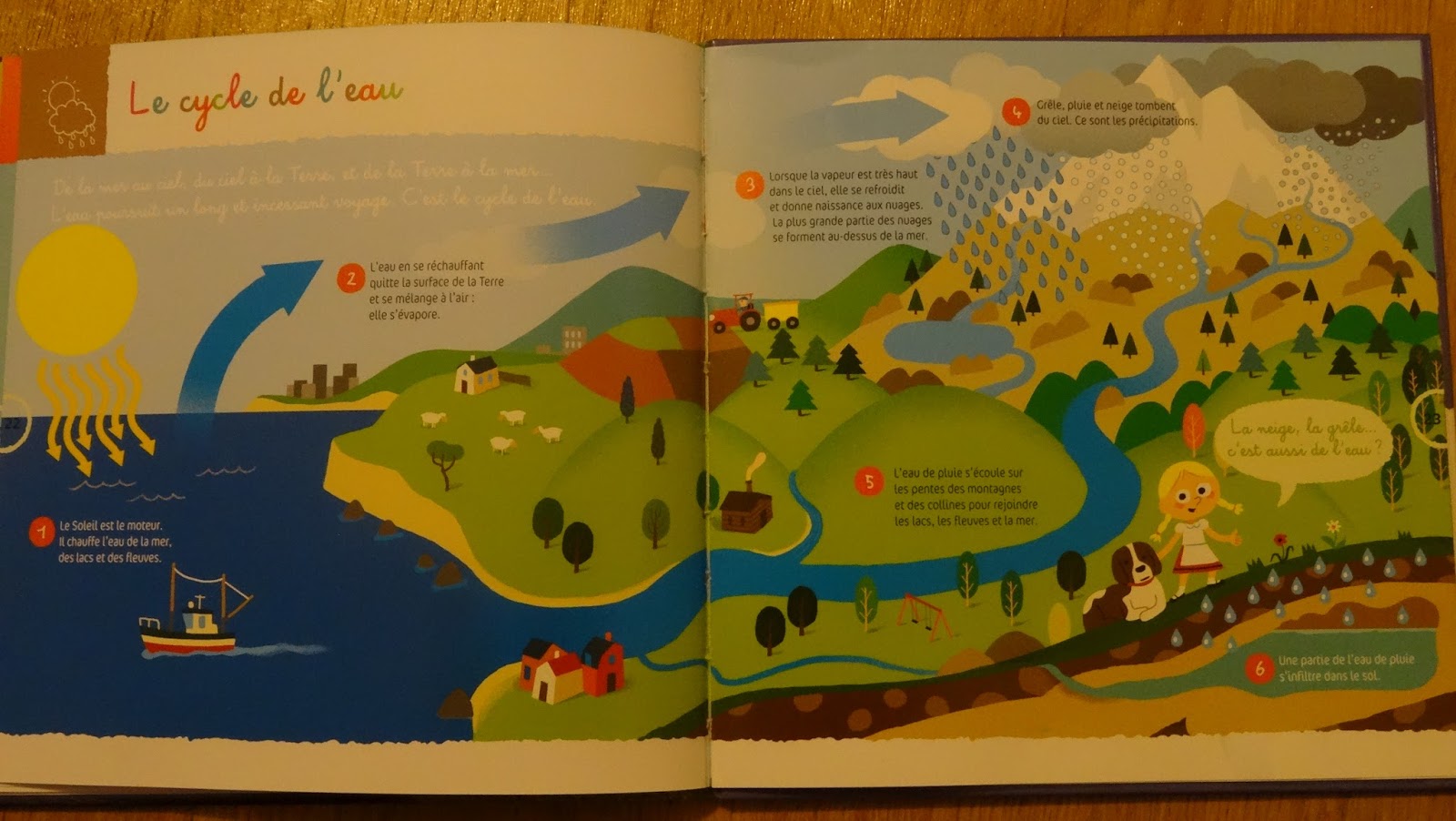 Pourquoi Le Parcours De L'eau Sur Terre Est-il Appelé Cycle