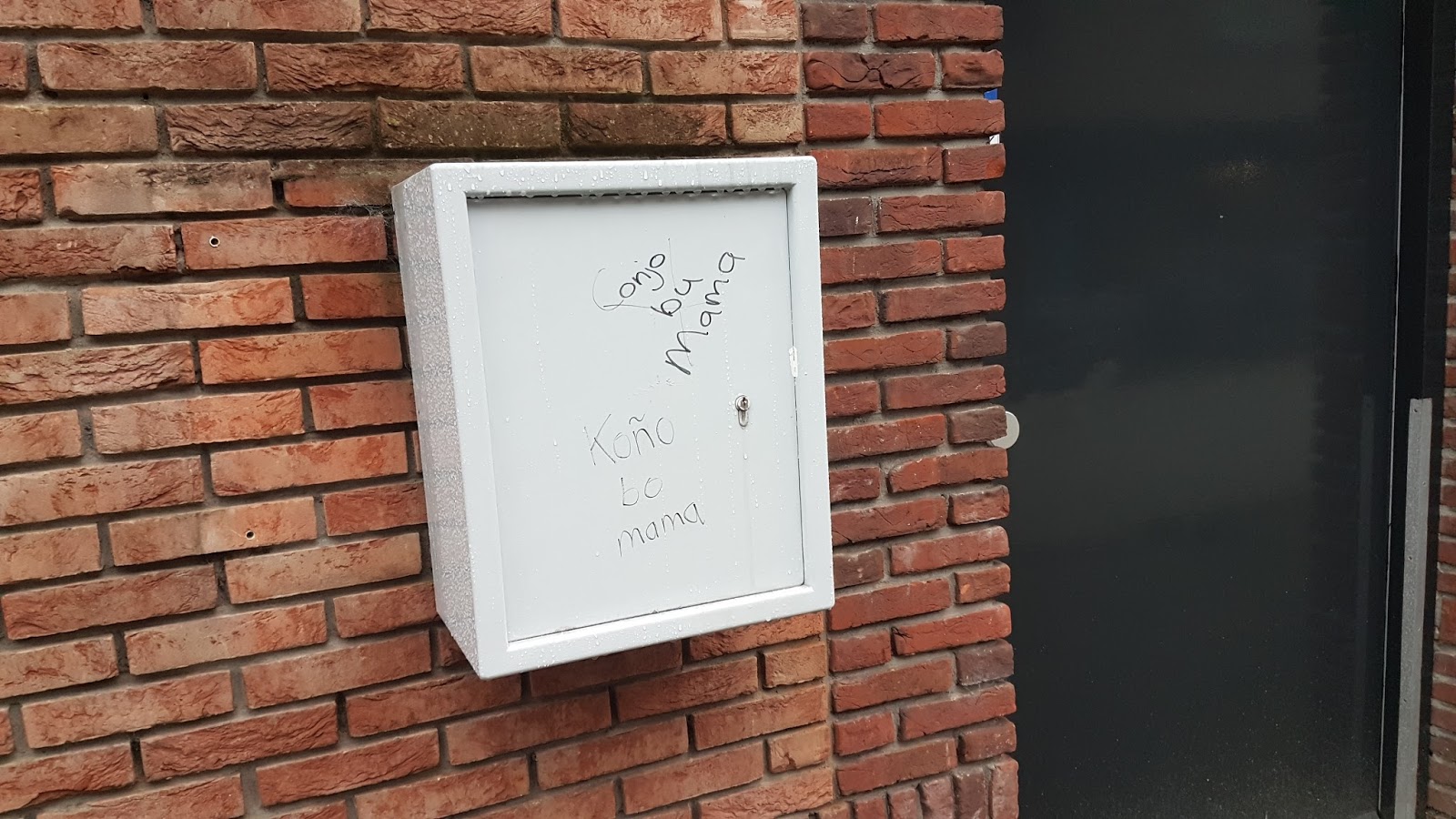 BEIJUMNIEUWS GEKKEN EN DWAZEN APPEN EN MAILEN NIET BEIJUMNIEUWS GEKKEN EN DWAZEN APPEN EN MAILEN NIET