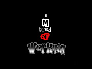 funny wallpapers (funny black wallper for windows)