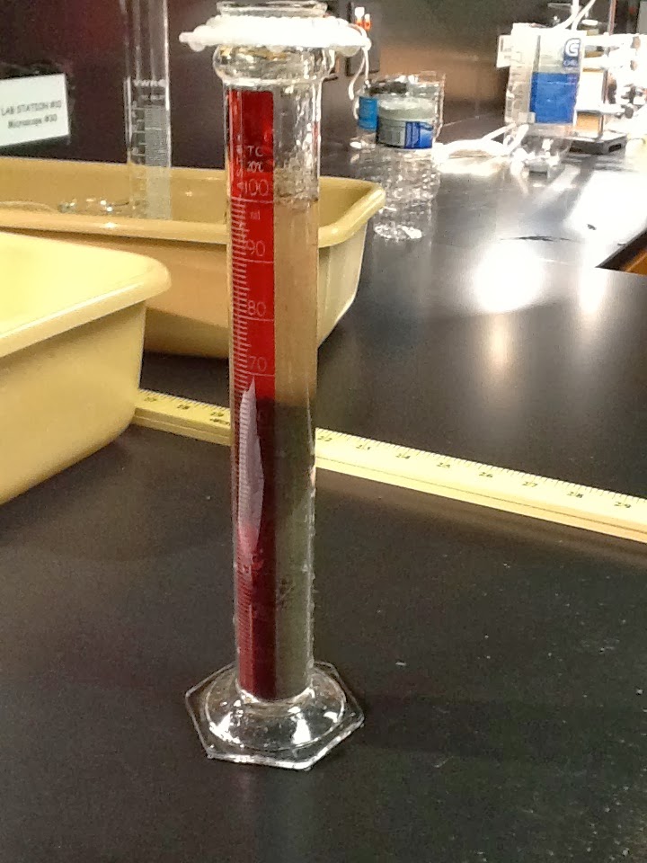 Soil The Foundation of Life Soil Texture Quantitative Test