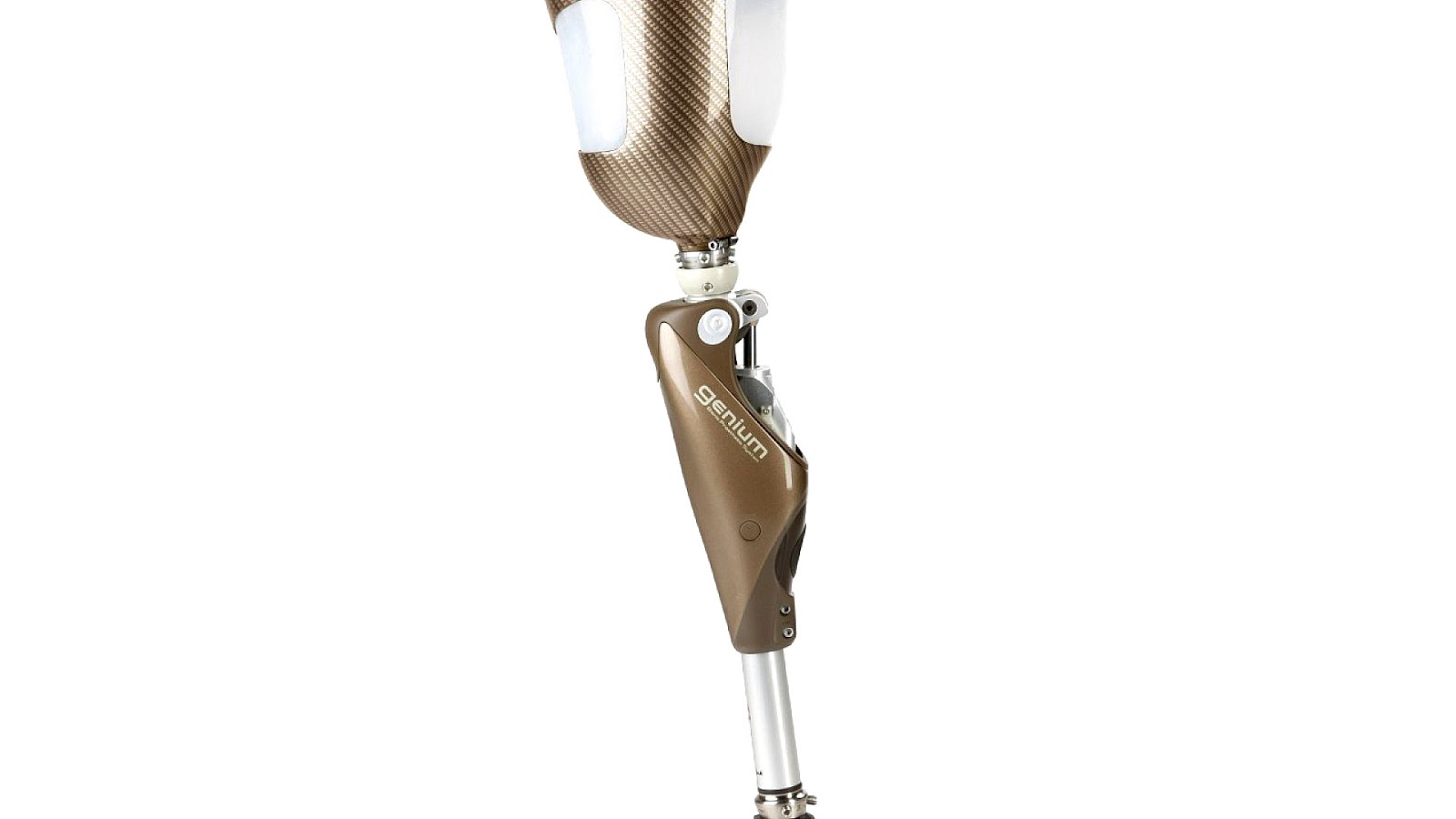 Prosthetic limbs image
