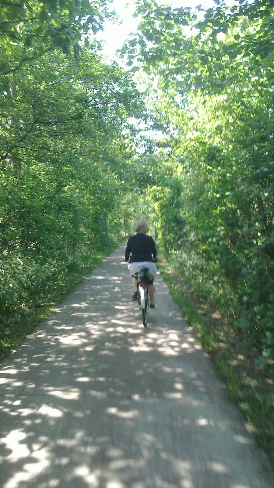 Biking around Texel