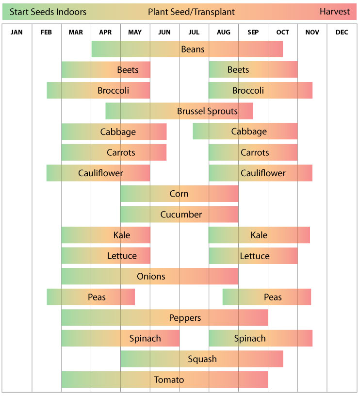 The Nutmeg Collective Planting Zone Calendars