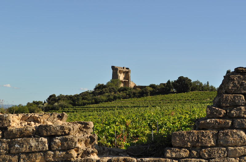 Our House in Provence, the Most Beautiful Region of France ChâteauneufduPape