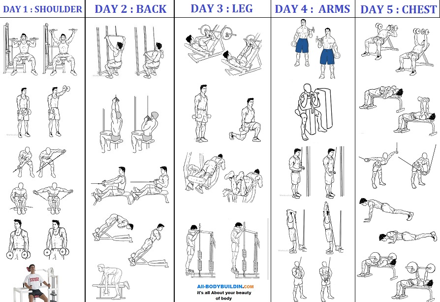 Dwayne Johnson Workout Routine Arms EOUA Blog Dwayne Johnson Workout Routine Arms EOUA Blog