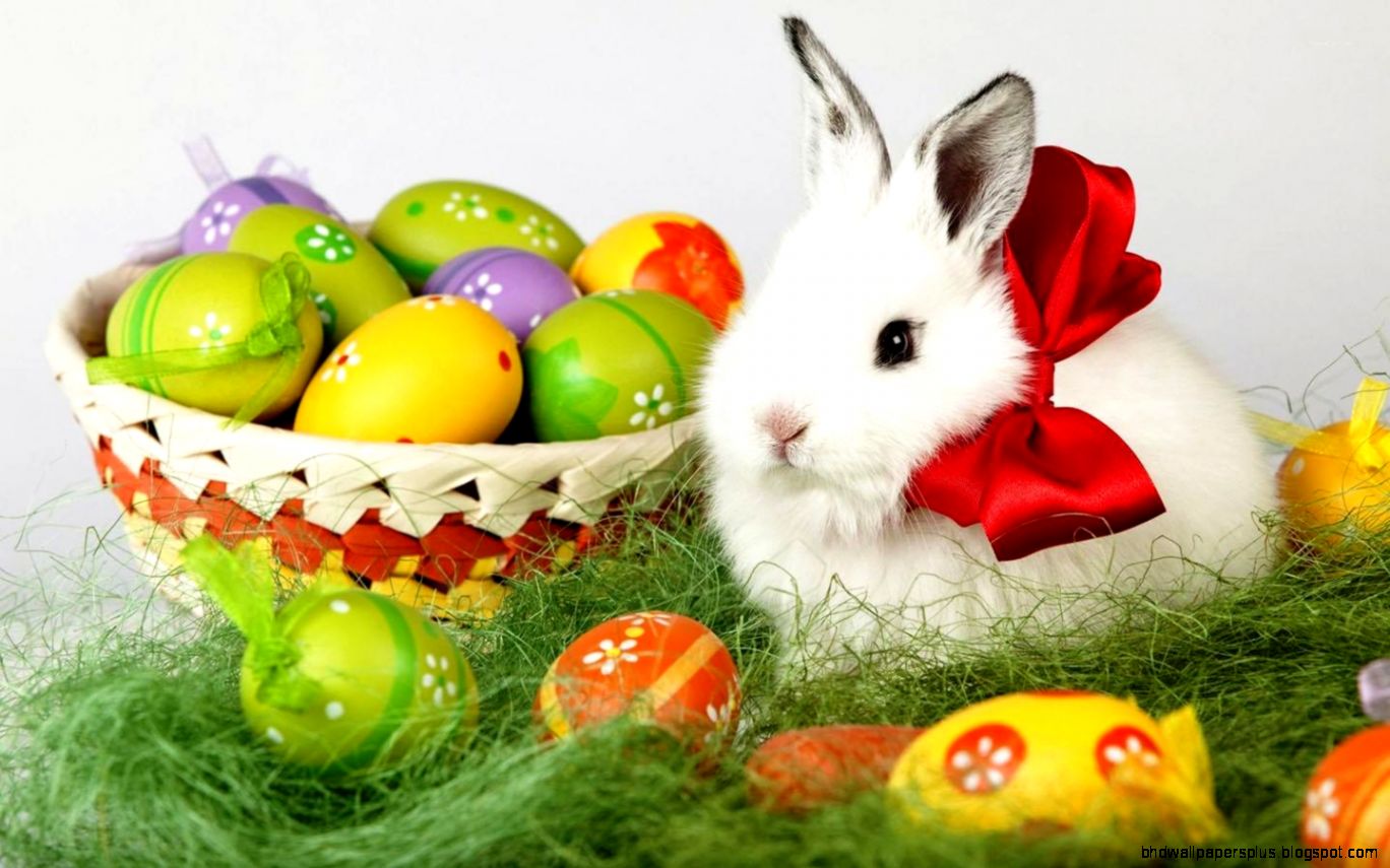Easter Wallpapers   Android Apps on Google Play