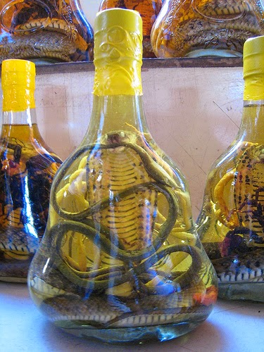 Healthtips Newsflash