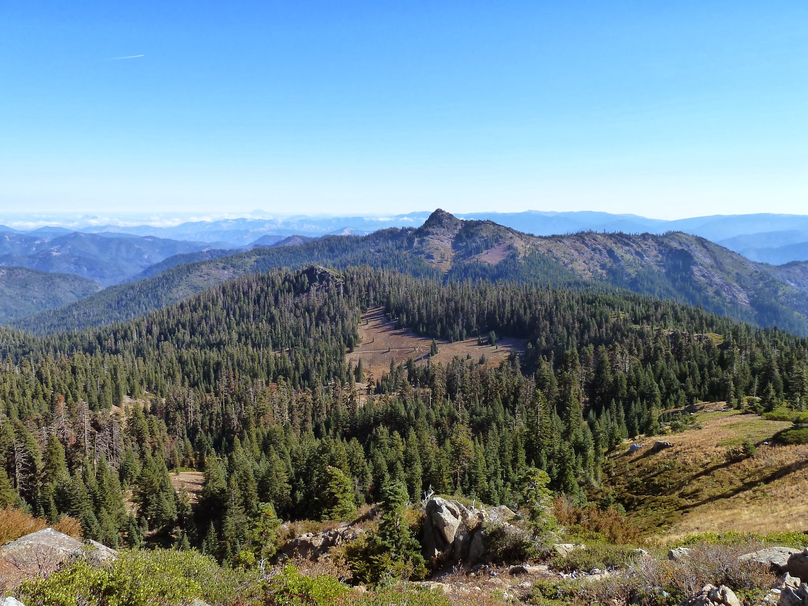 The Siskiyou Crest : Hinkle Lake Revisited: The Beginning of Recovery