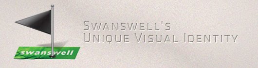  Swanswell's Unique Visual Identity