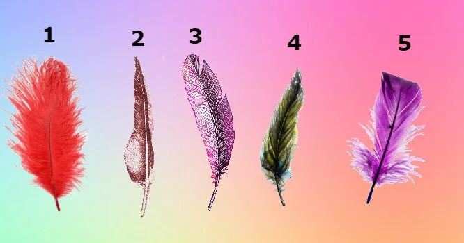 The Feather You Will Choose Will Determine Your Most Important ...