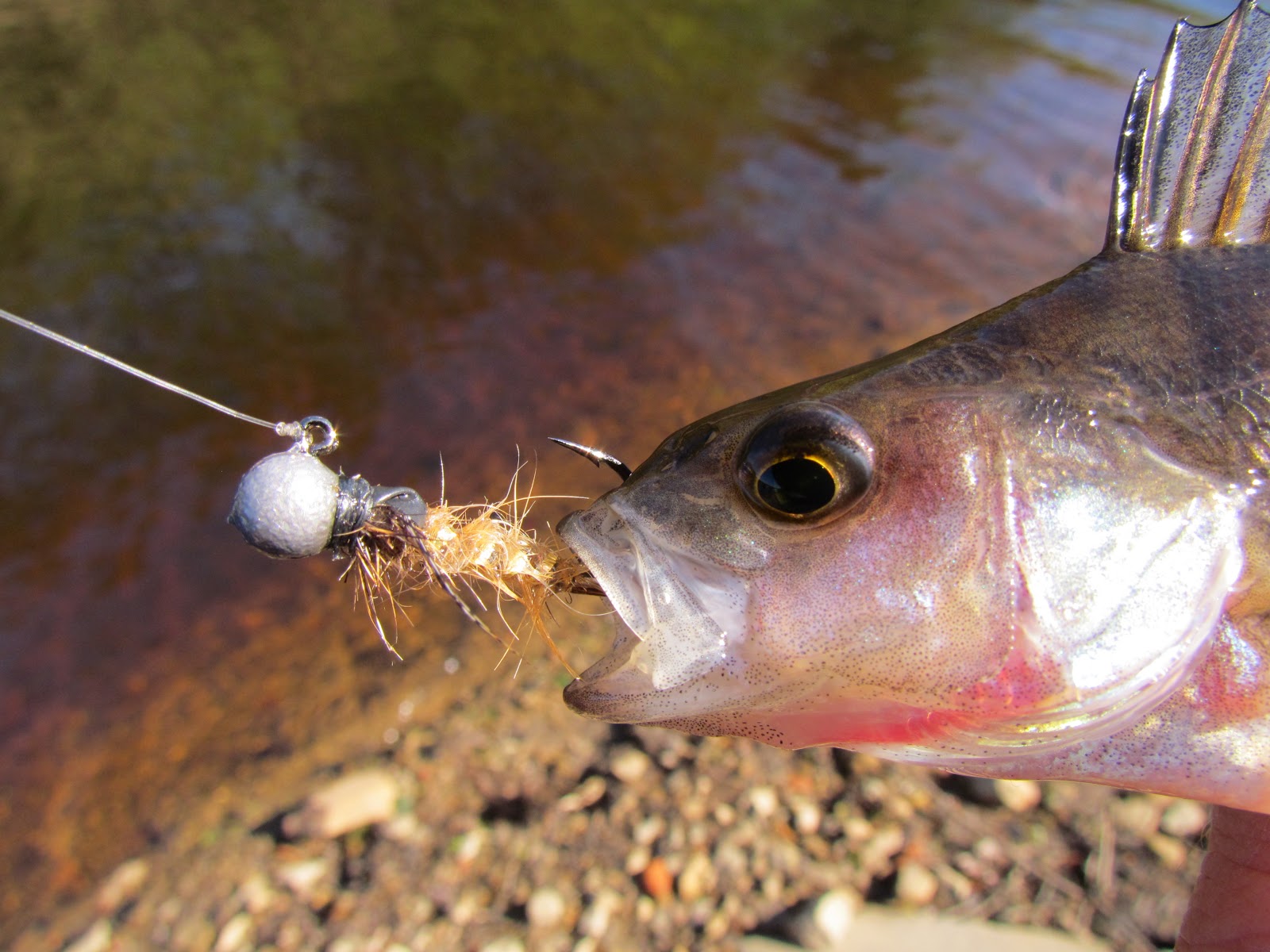 finesse fishing Home Made Jig Flies