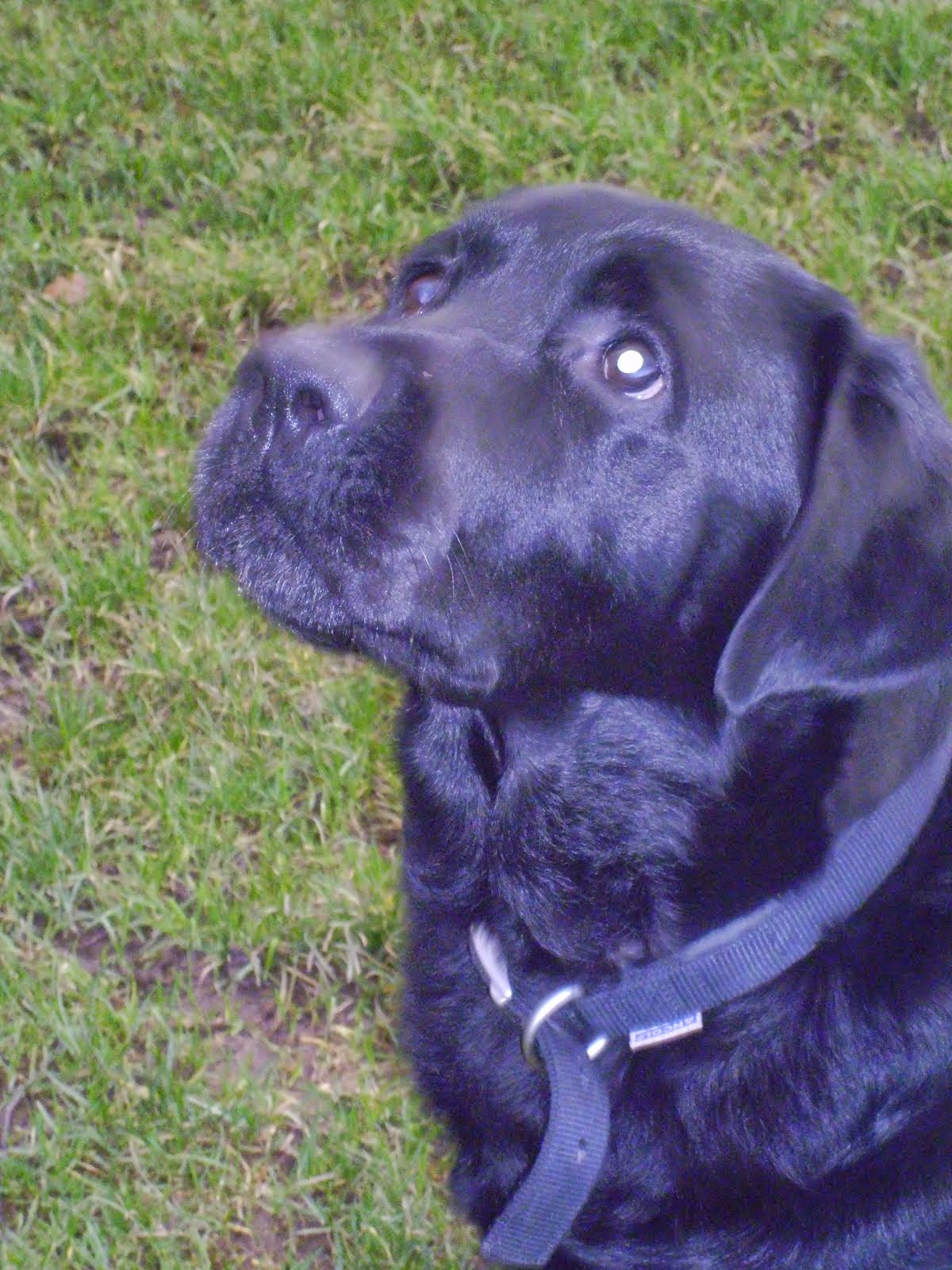 My Big Bundle of Gorgeousness xx