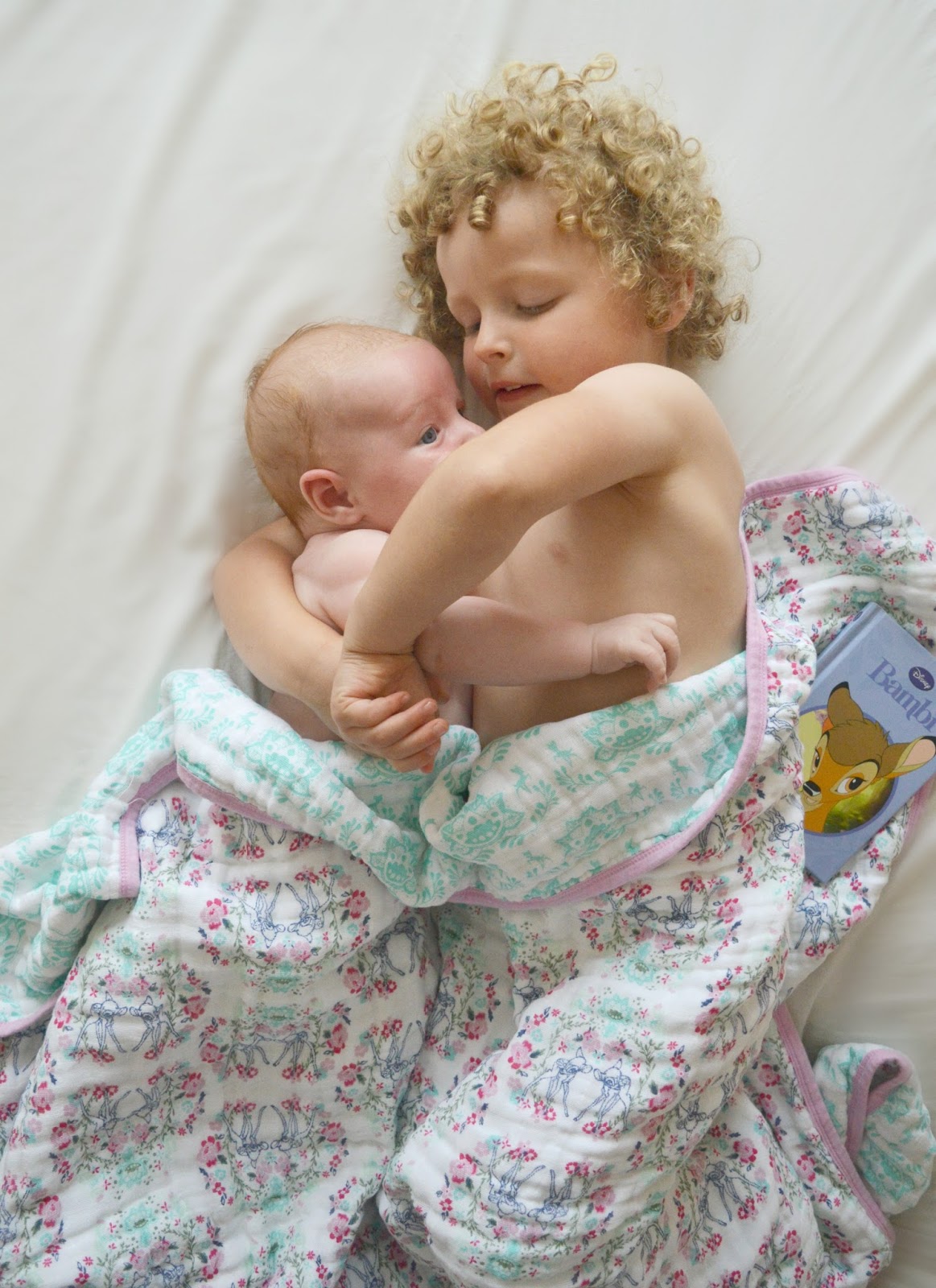 aden and anais bambi dream blanket