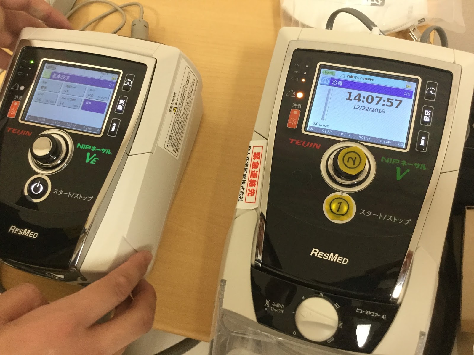 四季草々 12月 2016