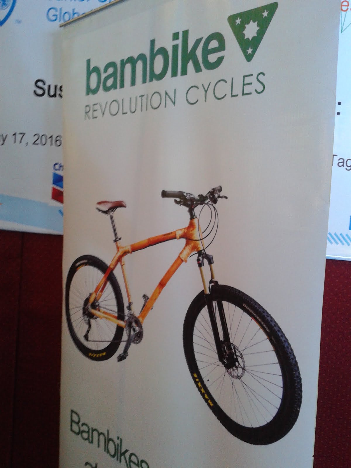 Joy Posadas writes... How much does a bamboo bike cost?