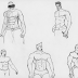 Torso Anatomy Art - Character Anatomy Torso : See more ideas about anatomy drawing, anatomy reference, drawing reference.