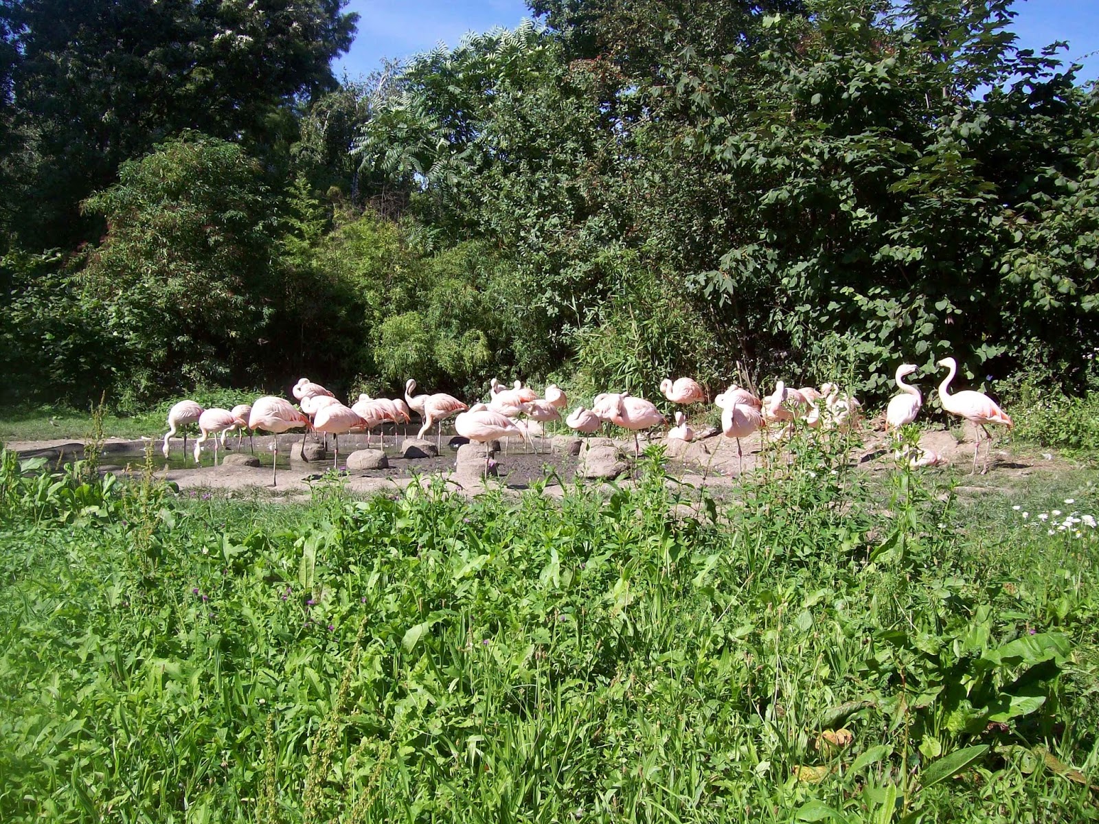 Der Postillon Godzilla Problem In Frankfurt Uber Jahre Straflich