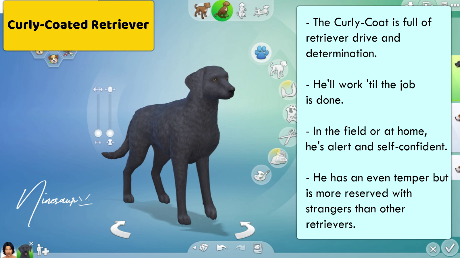 NINESAUR 72 LARGE DOG BREEDS SIMS 4