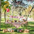 El segundo cumpleaños de Miranda: picnic party