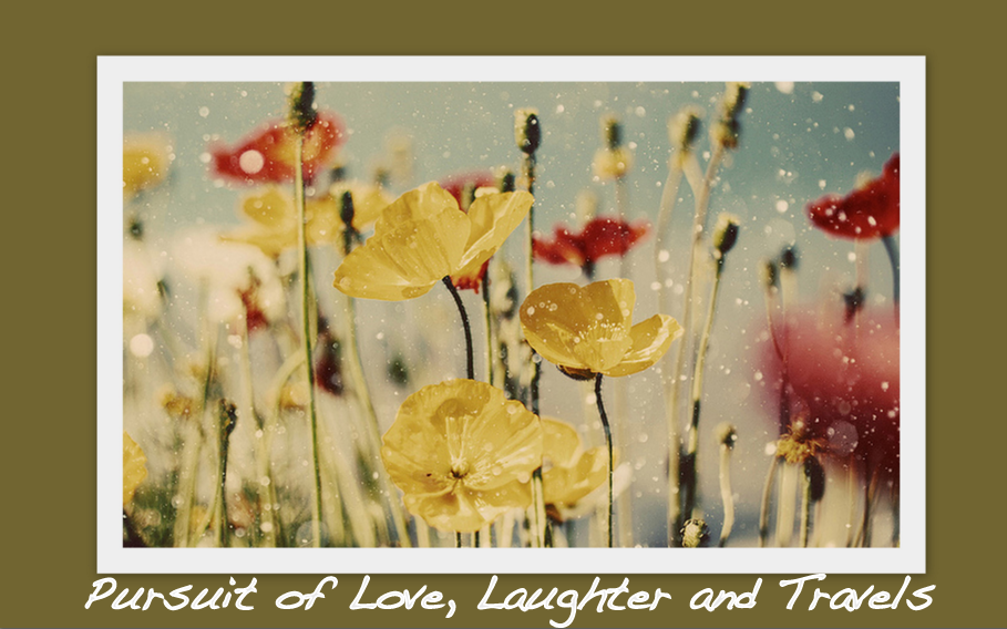 Pursuit of Love, Laughter & Travels
