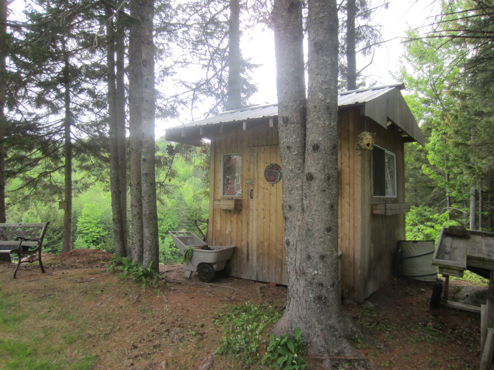 Hidden hut/shack in the woods of Vermont tiny house