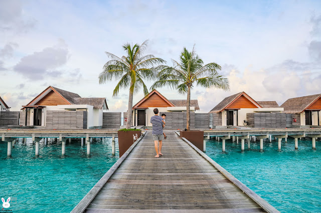 per aquum niyama, maldives, overwater bungalows. 