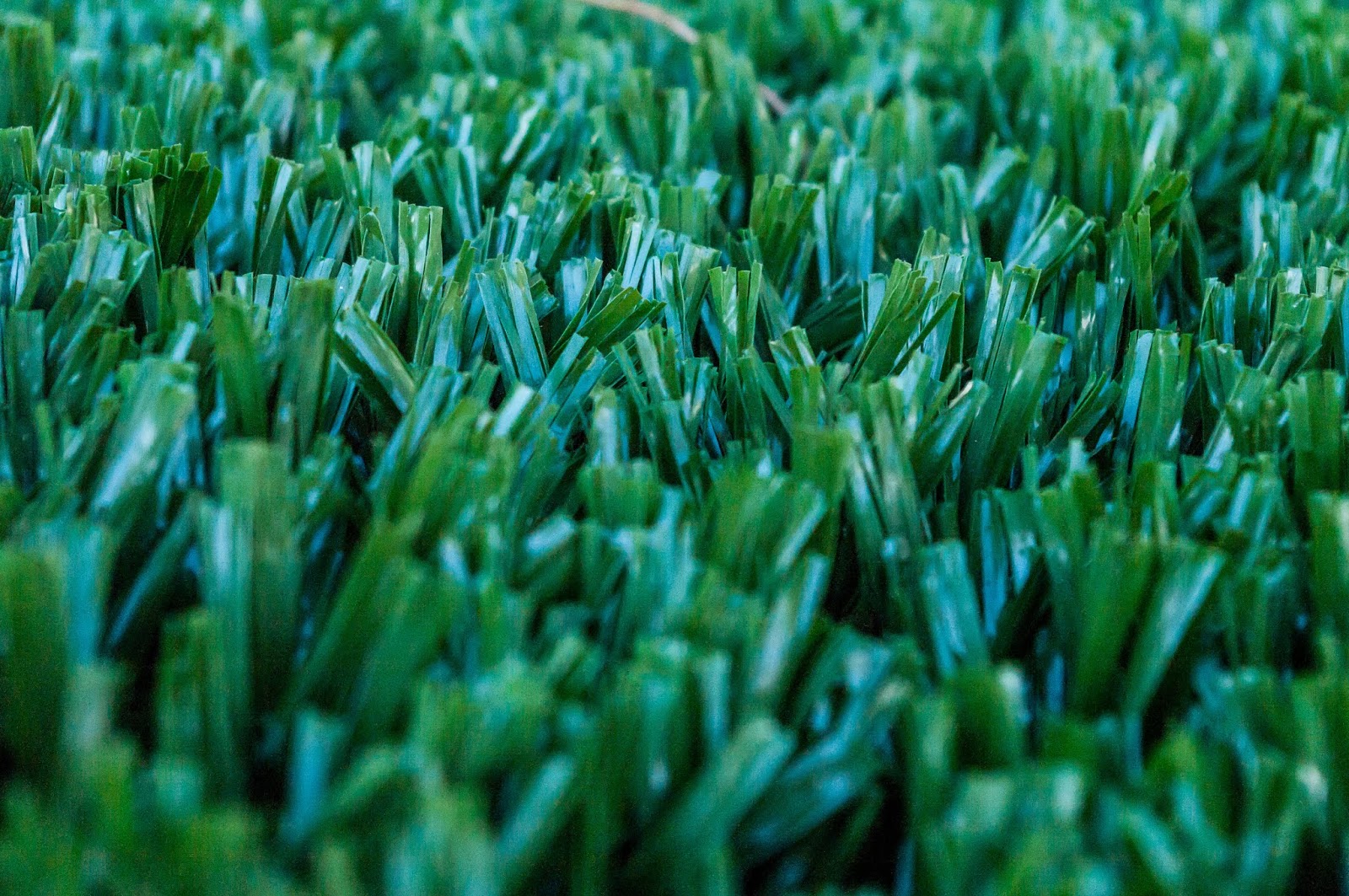 NEW SAVANNA Artificial turf, plastic grass