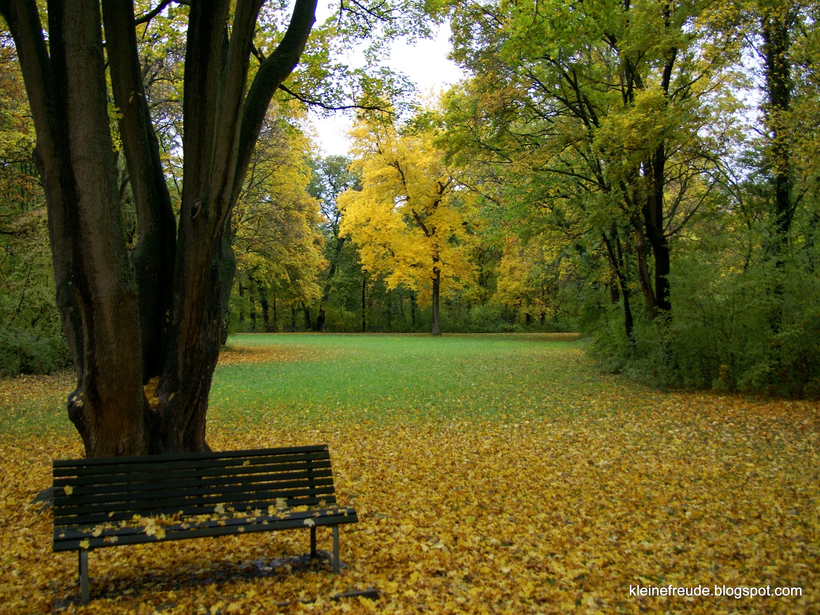 Schlosspark Laxenburg Goldener Teppich