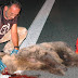 Ατύχημα με θύμα αρκούδα στον κάθετο άξονα Σιάτιστα-Κρυσταλλοπηγή