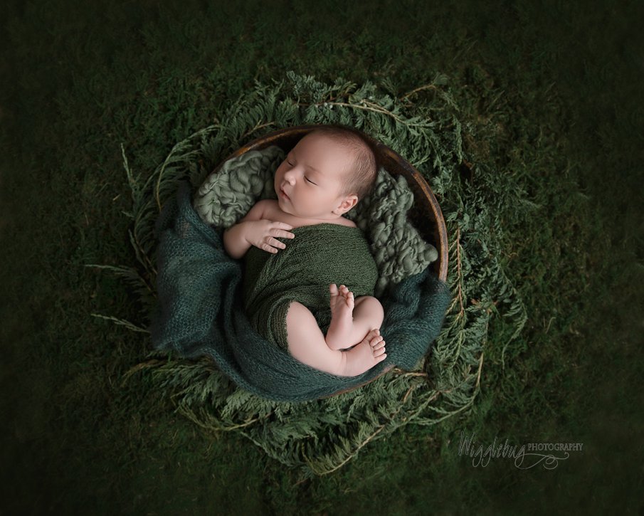Forest themed boy newborn session from Geneva IL 