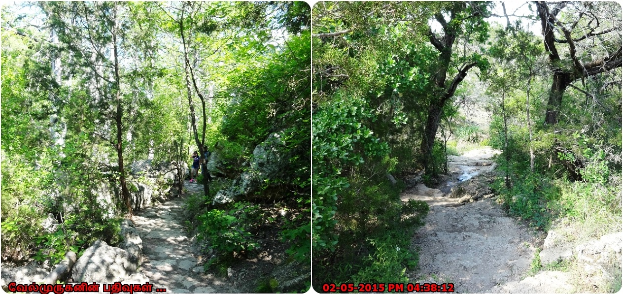 Hamilton Pool Preserve - Exploring My Life