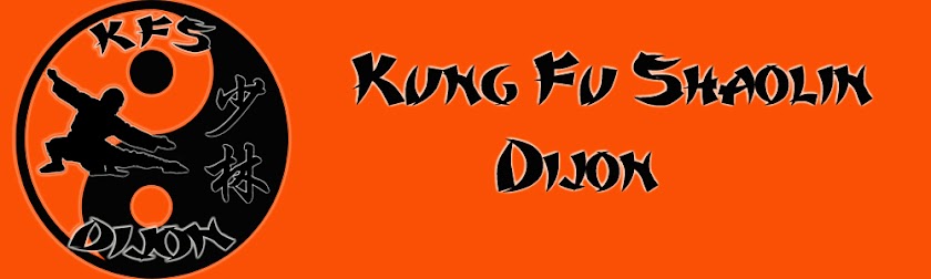 Kung Fu Shaolin Dijon - Av. Greuze