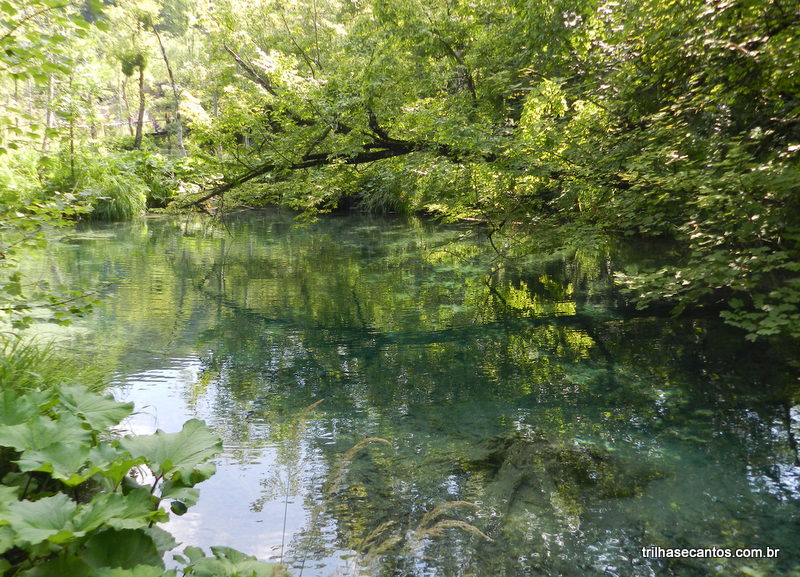 Lagos de Plitvice Croácia Lagos de Plitvice Croácia