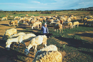 Tour Hà Nội - Ninh Thuận