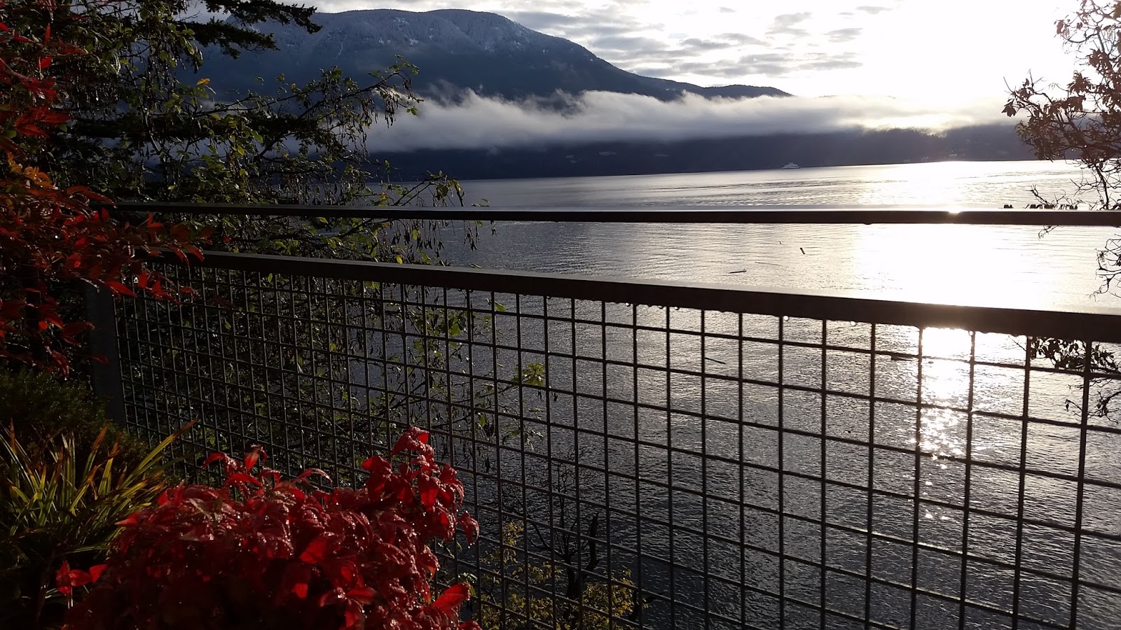 ShortTerm, Not ShortSighted Vacation Rentals on Bowen Island