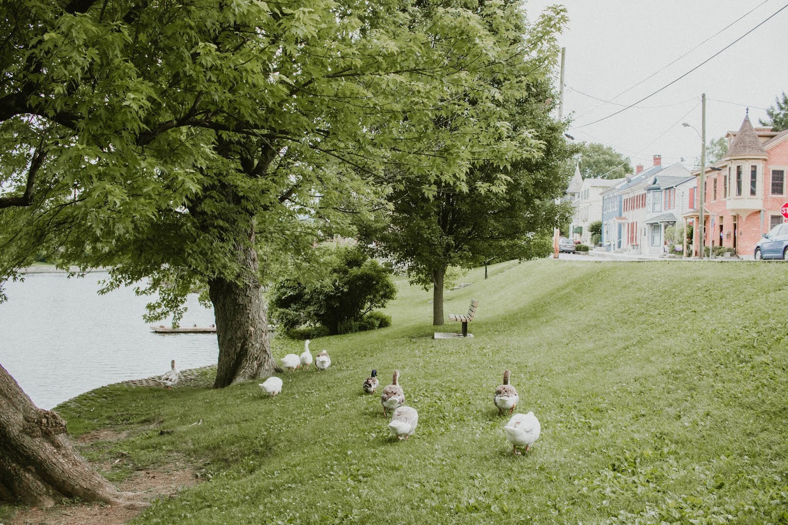 Staycation Boiling Springs, PA