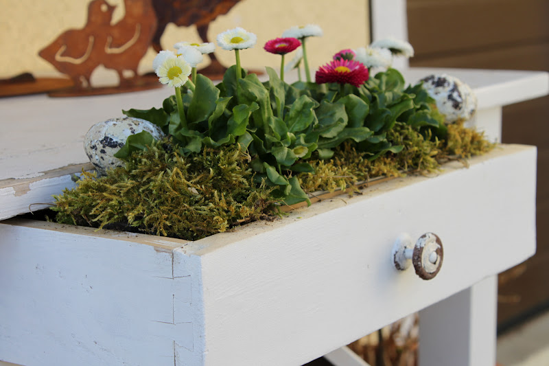 Herzbluad Auweia, auweia, der Hahn legt keine Eier.....