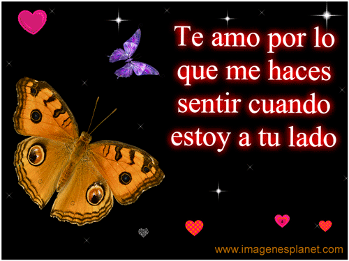 Mariposas y corazones con frases de amor