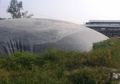 Hầm biogas HDPE cỡ lớn