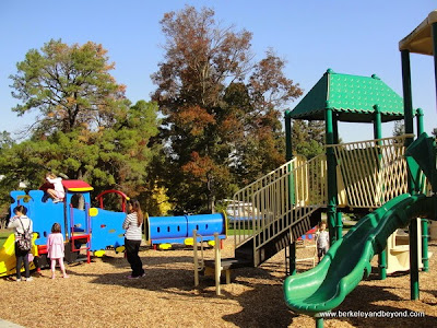 Larkey Park playground in Walnut Creek, California