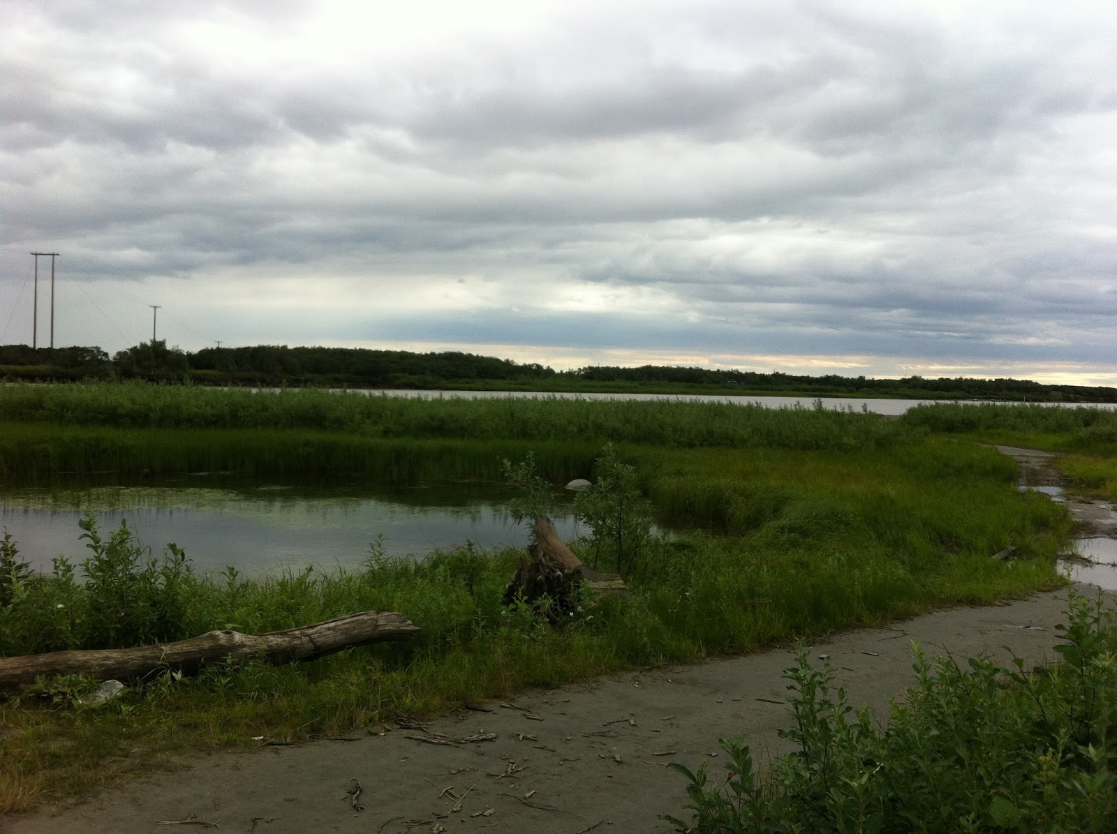 The Bradford's Blog Alakanuk so far...