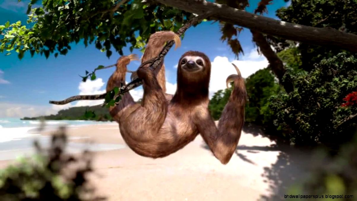 Costa Rica Economy   WAKET WorkTravel Experiences