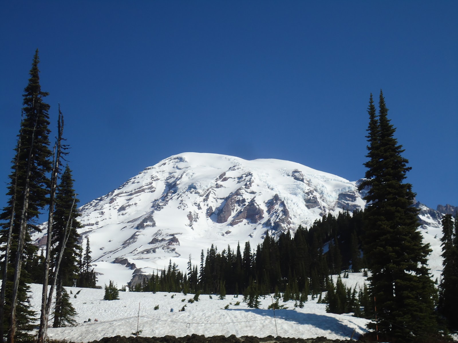 Amber Anda Tiny Problem In Paradise