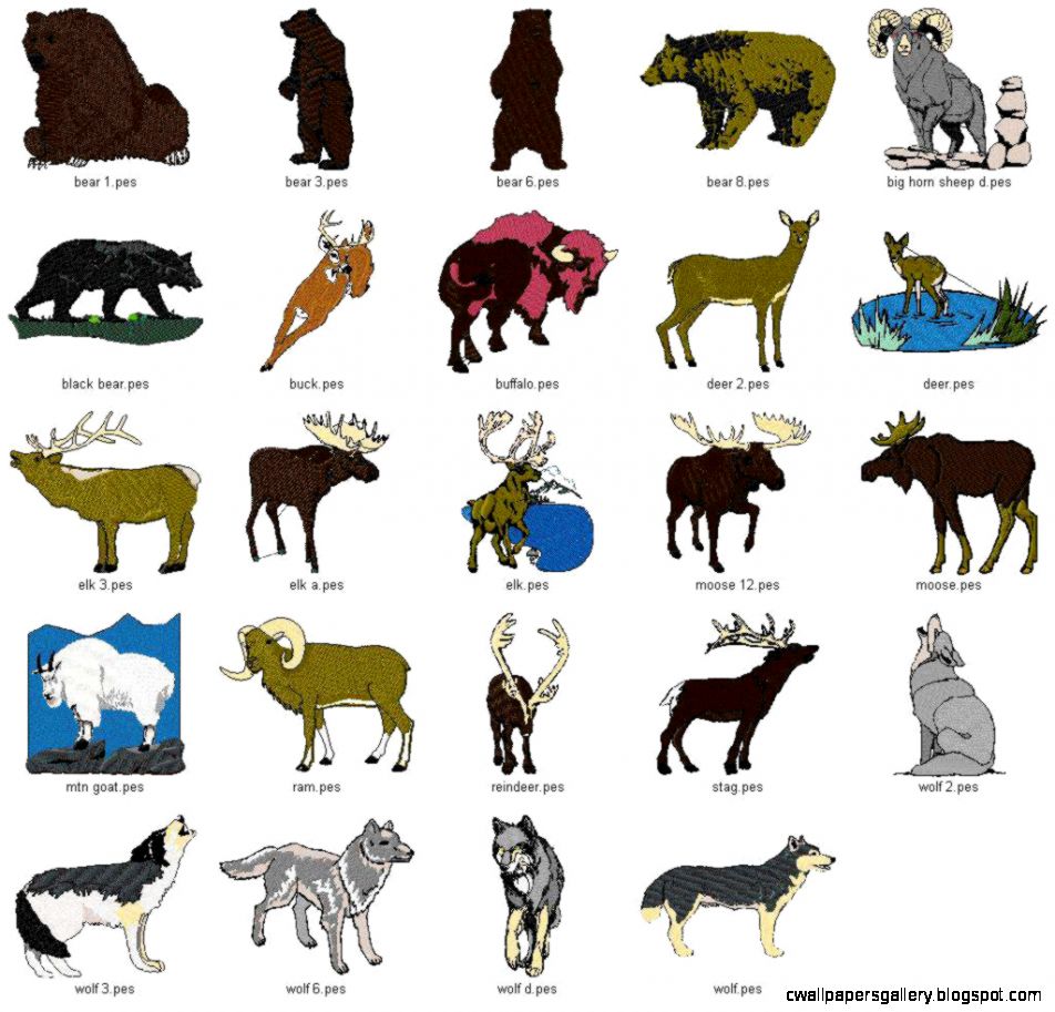 American forest animals list