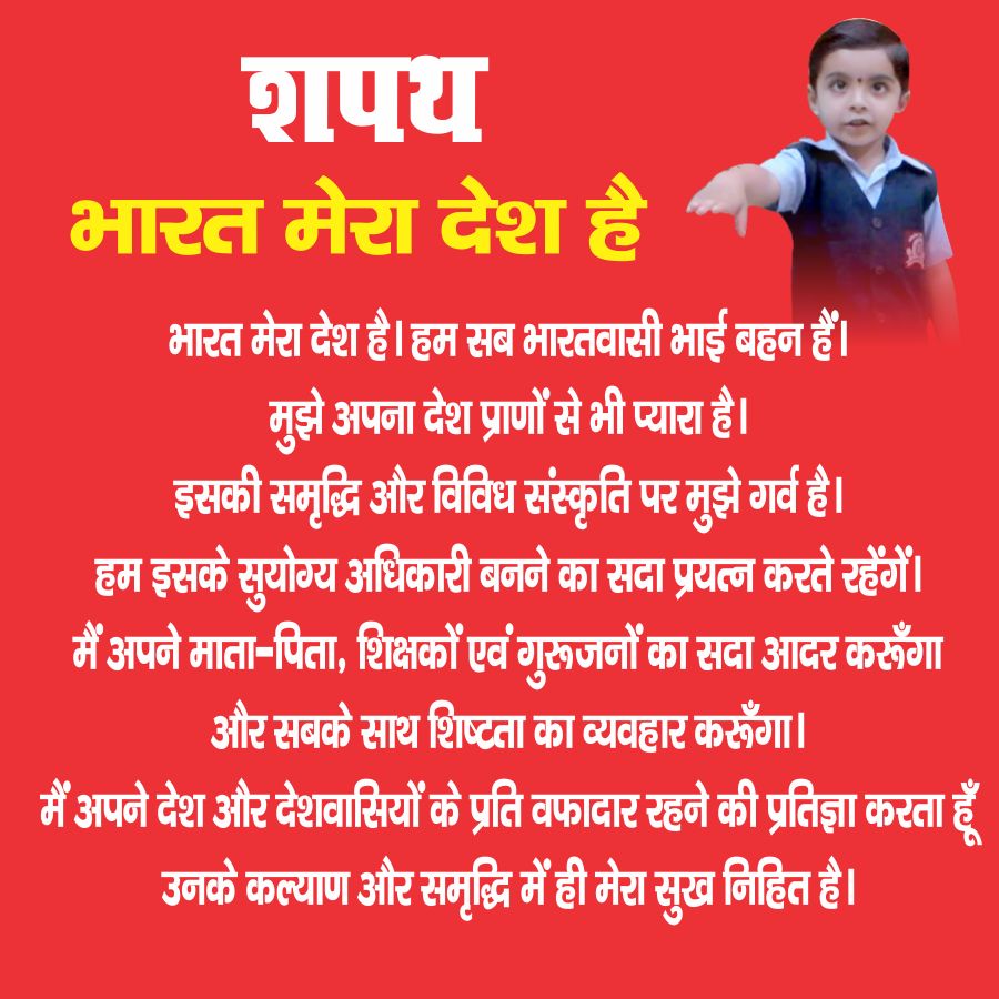 What Is Meant By Dummy School