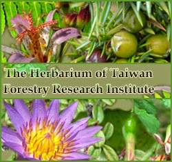 The Herbarium of Taiwan Forestry Research Institute