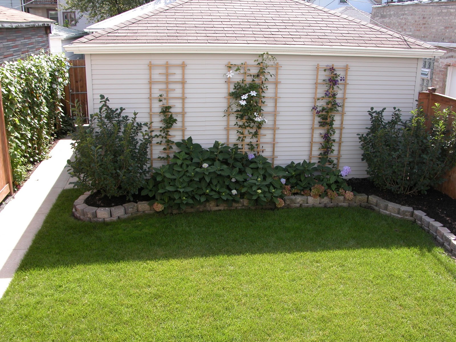 Boxwood Dirt Simple