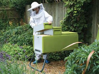  bee keeping courses