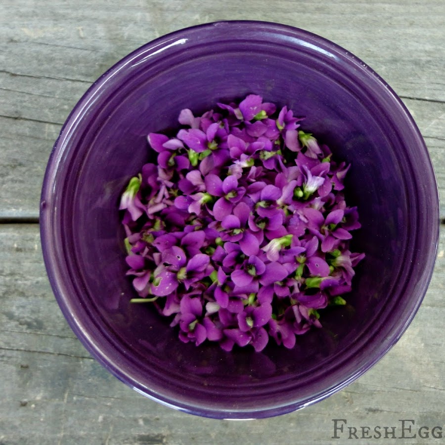 The Incredible Edible Violet | Homemade Violet Soda